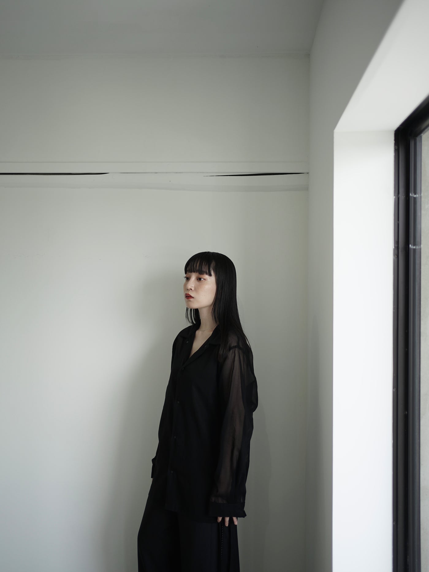 100/2 cotton organdy simple shirt